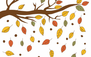 Herbst (Symbolbild) Quelle: Pixabay.com