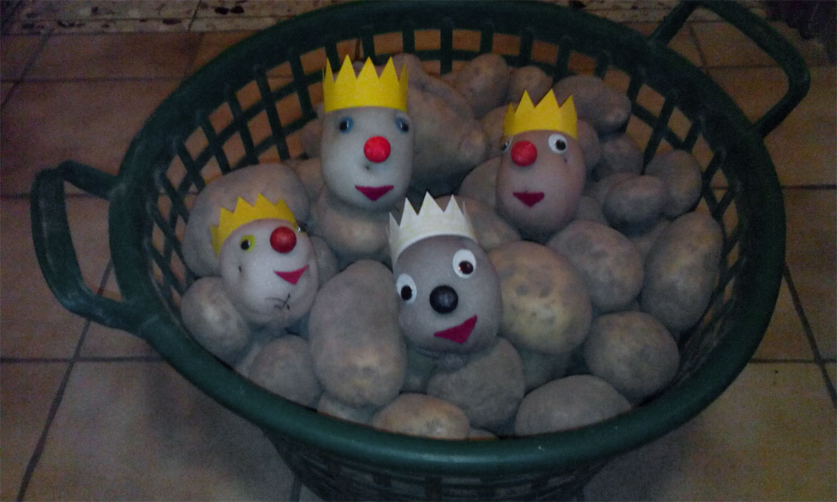 Die Kartoffel war Thema in der Gemeindebücherei Bilshausen.